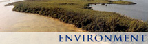 Environment